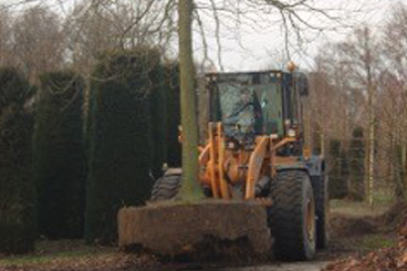 Verplanten
